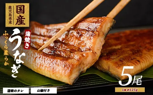 鰻蒲焼じっくり焼き約250g 5尾入