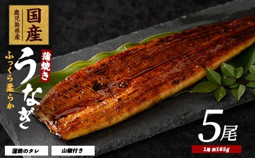 鰻蒲焼き約165g×5尾入