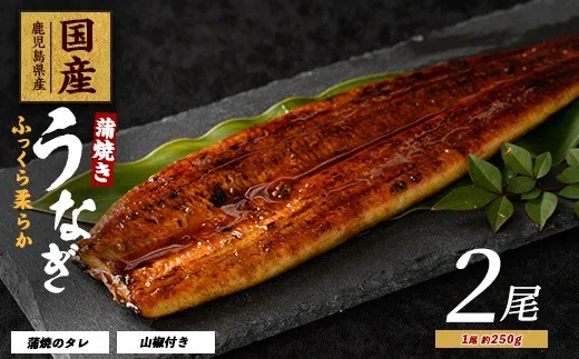 鰻蒲焼き約250g×2尾入