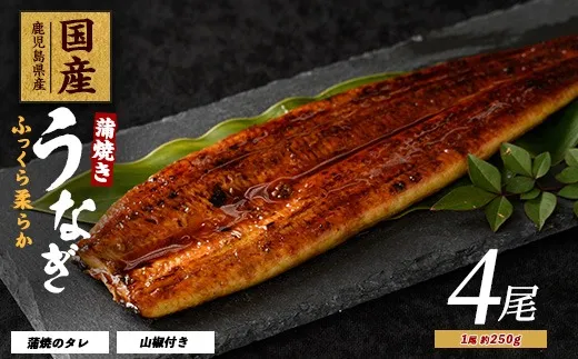 鰻蒲焼き約250g×4尾入