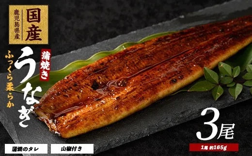 鰻蒲焼き約165g×3尾入