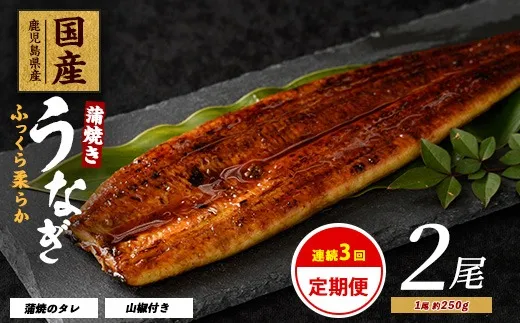 全3回定期便【連続】鰻蒲焼き 2尾入
