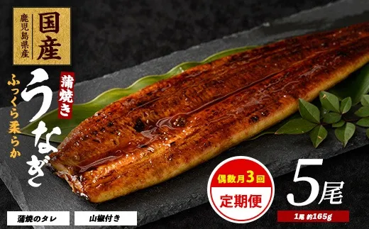 全3回定期便【偶数月】鰻蒲焼き 5尾入