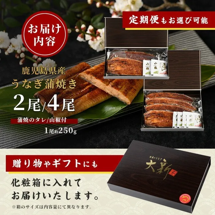 定期便　鰻蒲焼き2尾入